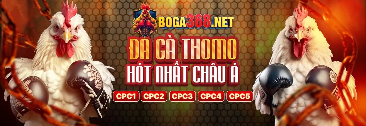 Khám phá các loại trò chơi tại xs66 casino