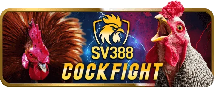 Video slot hiện đại với đồ họa 3D và tính năng bonus